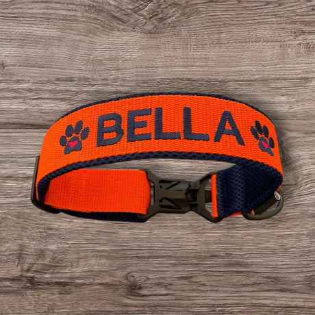 Hundehalsband mit FIDLOCK® Magnetverschluss nicht nur chic, sondern auch praktisch und funktional