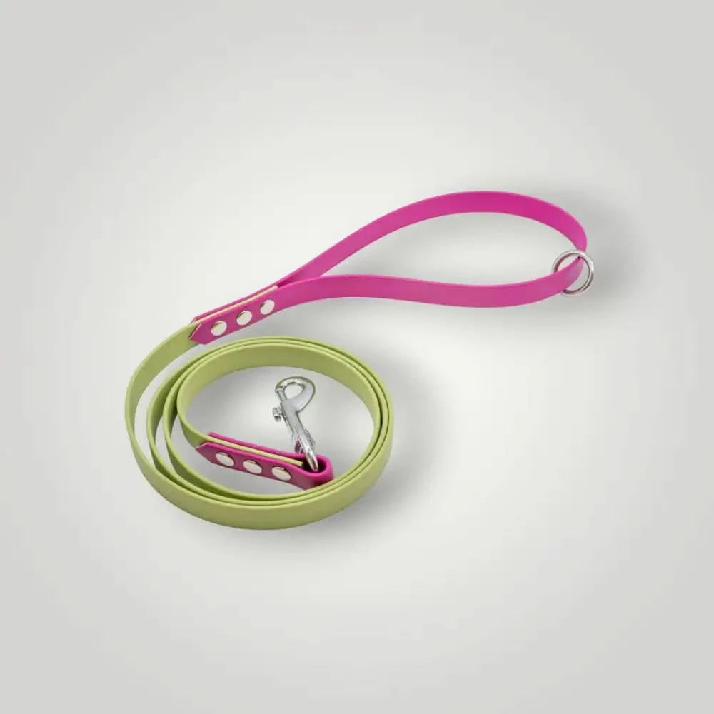 2-Farbige Biothane Leine, 1,60 m fixe Länge, Hundeleine mit Handschlaufe in Avocadogrün-Pink