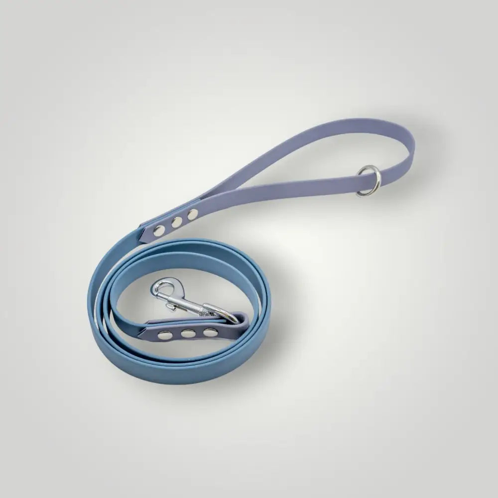 Blaue und lavendelfarbene Biothane Leine, 1,60 m, 2-farbige Biothane Leine für Hunde
