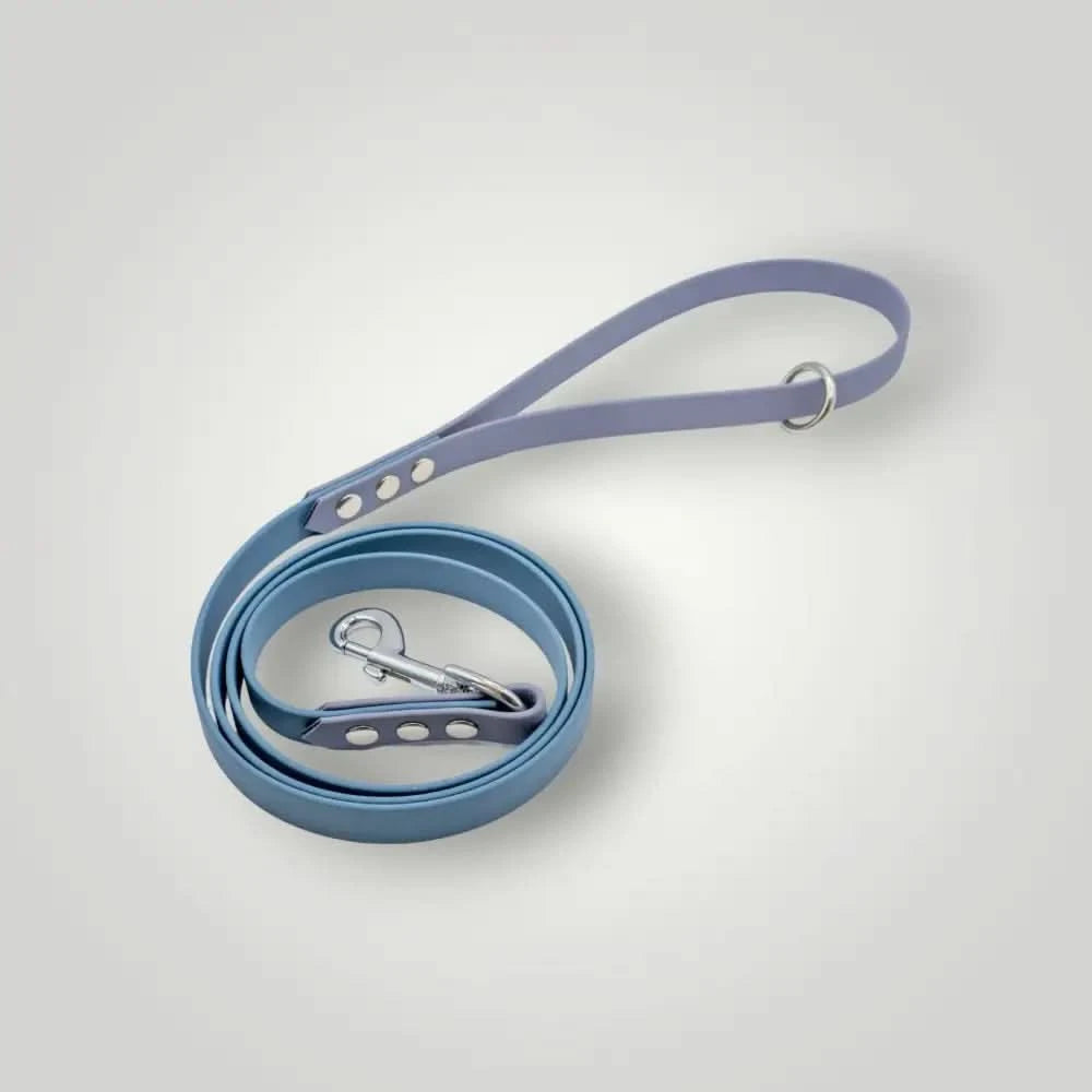 Blaue und lavendelfarbene Biothane Leine, 1,60 m, 2-farbige Biothane Leine für Hunde