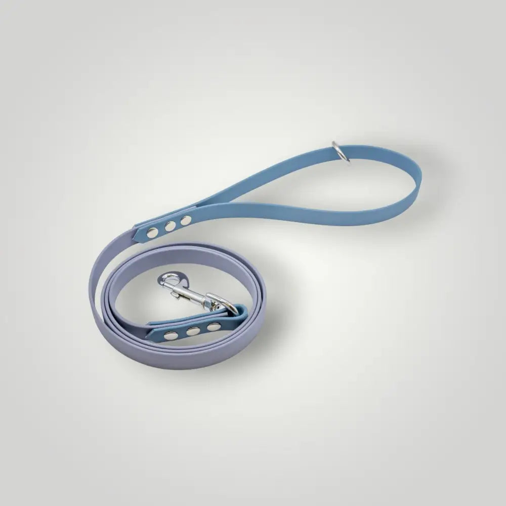 Blaue und lavendelfarbene Biothane Leine 1,60 m, 2-farbige Biothane Leine für Hunde