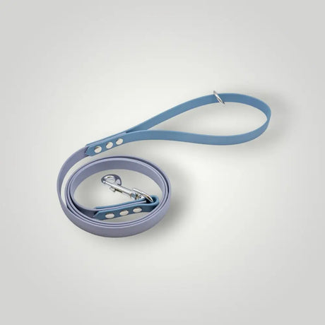 Blaue und lavendelfarbene Biothane Leine 1,60 m, 2-farbige Biothane Leine für Hunde