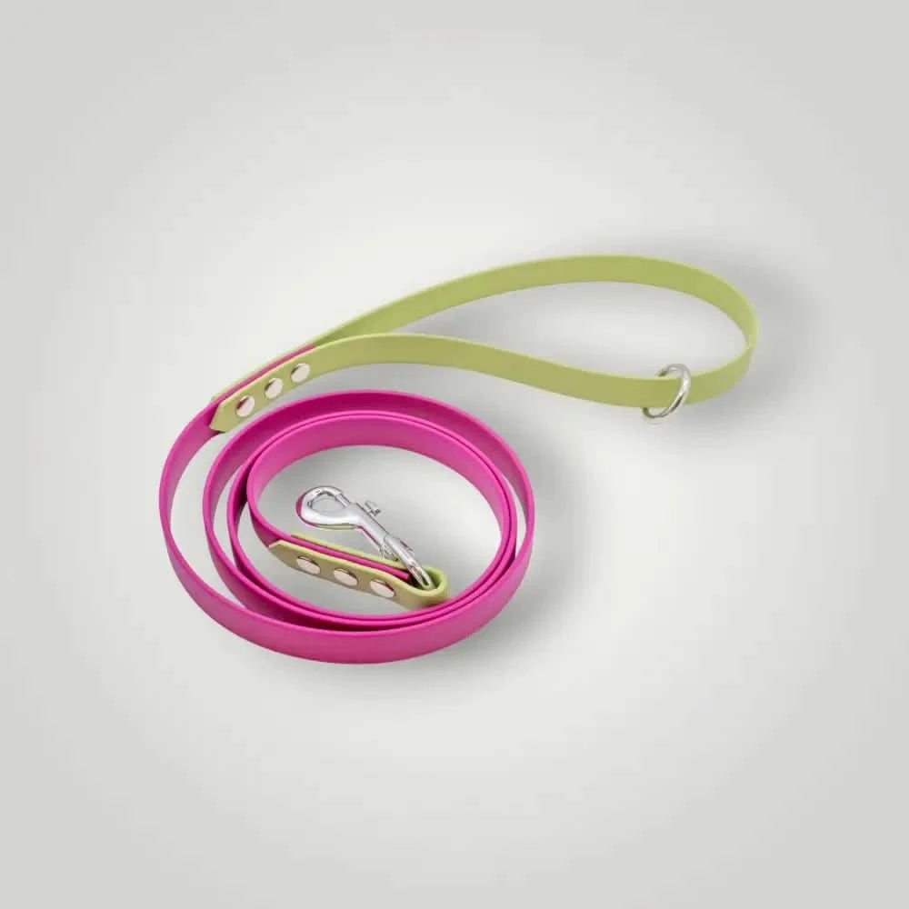 2-Farbige Biothane Leine, 1,60 m fixe Länge, Pink-Avocadogrün mit Handschlaufe für sicheren Halt