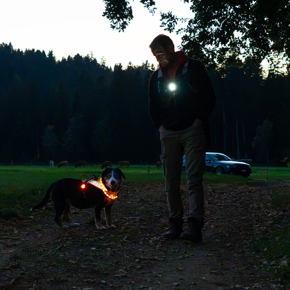 LED Clip-Lampe für Hundehalter – 80 Lumen, IPX7 & USB-C