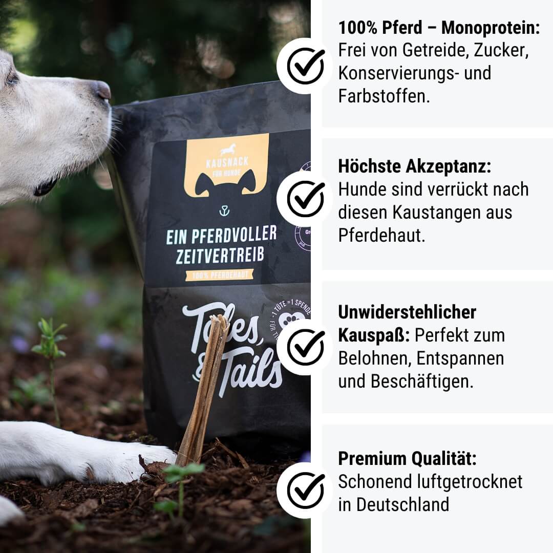 Ein PferdVoller Zeitvertreib 100% Pferdehaut - Kauartikel für Hunde