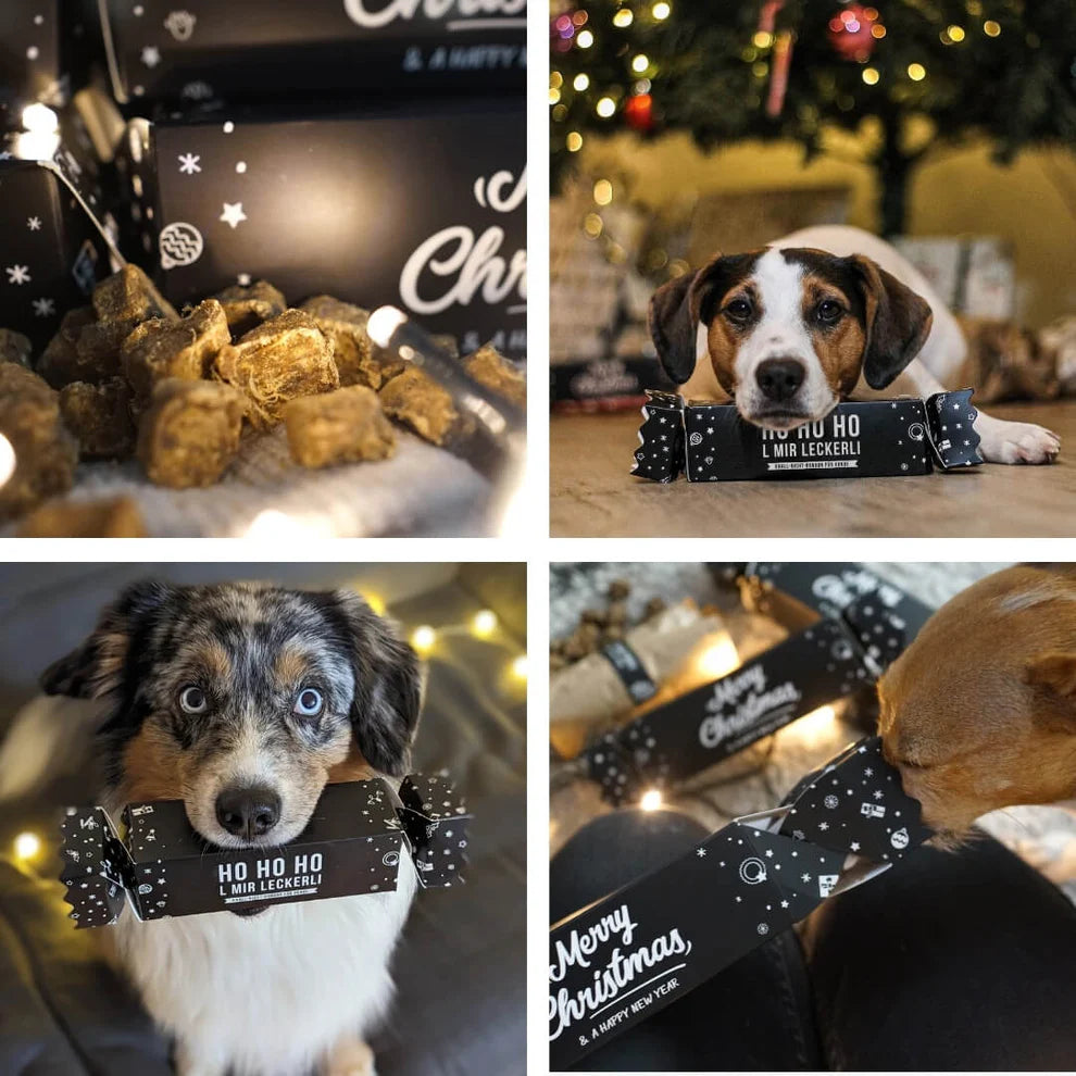 Tales & Tails Knall Nicht Bonbon Hundeleckerli