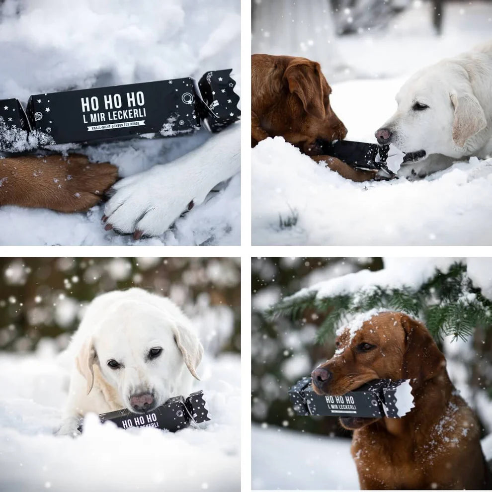 Tales & Tails Knall Nicht Bonbon Hundeleckerli