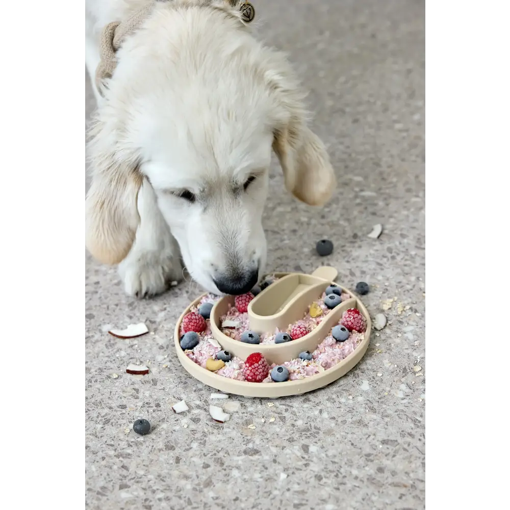 Beige hundenapf cali mit anti-schling-einsatz yumo, gefüllt mit gefrorenen Beeren und Haferflocken