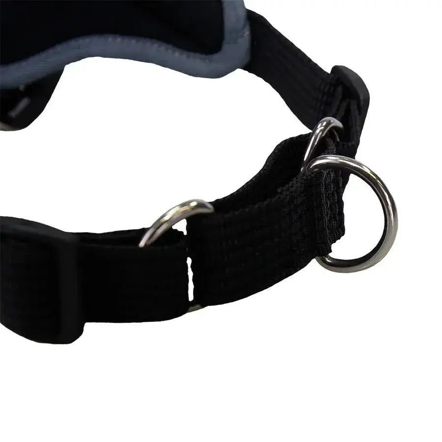Schwarzes Nylon-Hundehalsband mit Metallringen für Rhodesian Ridgeback oder Cavalier King Charles