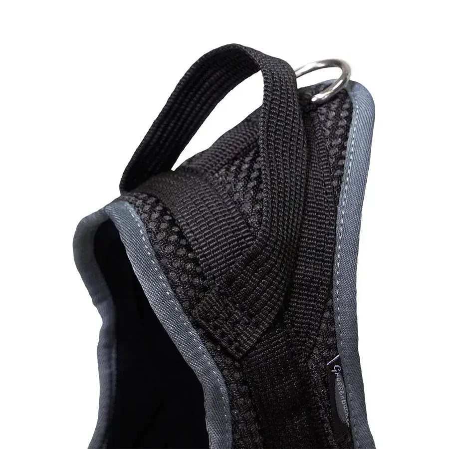 Schwarzes Mesh Hundegeschirr für Rhodesian Ridgeback und Cavalier King Charles von Beat Grossenbacher