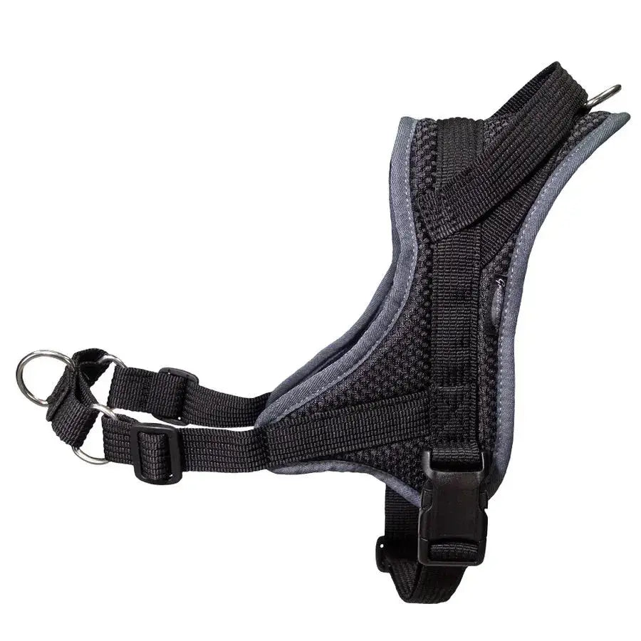 Black und grau Hundegeschirr für Rhodesian Ridgeback und Cavalier King Charles von Beat Grossenbacher