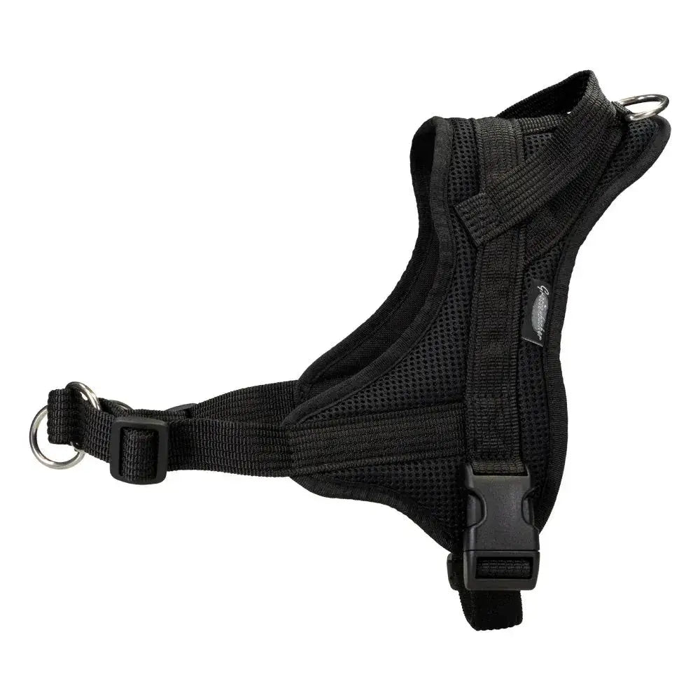 Schwarzes Mesh-Hundegeschirr von Beat Grossenbacher für Rhodesian Ridgebacks und Cavalier King Charles