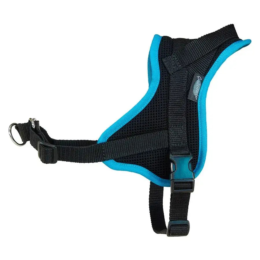 Black und türkis Hundegeschirr für Rhodesian Ridgeback und Cavalier King Charles von Beat Grossenbacher