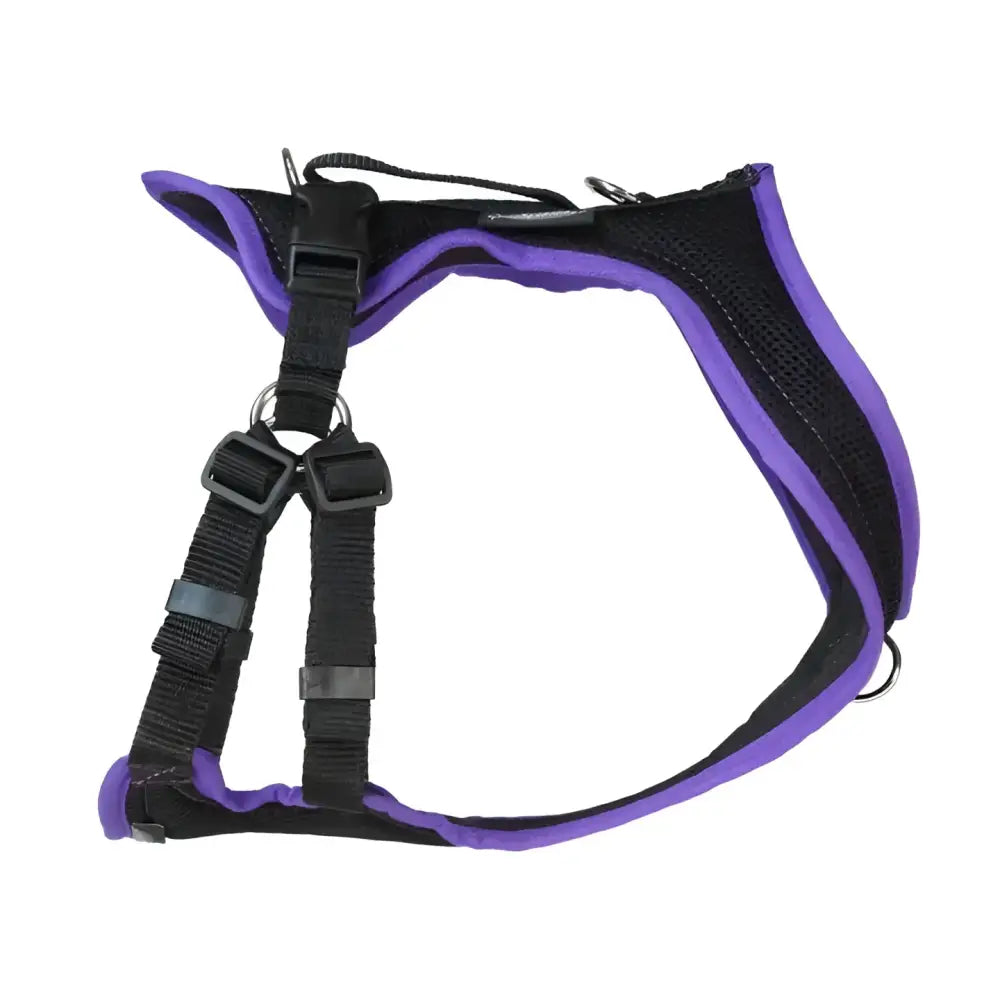 Purple und schwarze Hundegeschirr Beat Grossenbacher Ausbildungsgeschirr PROGuide für King Charles Spaniel