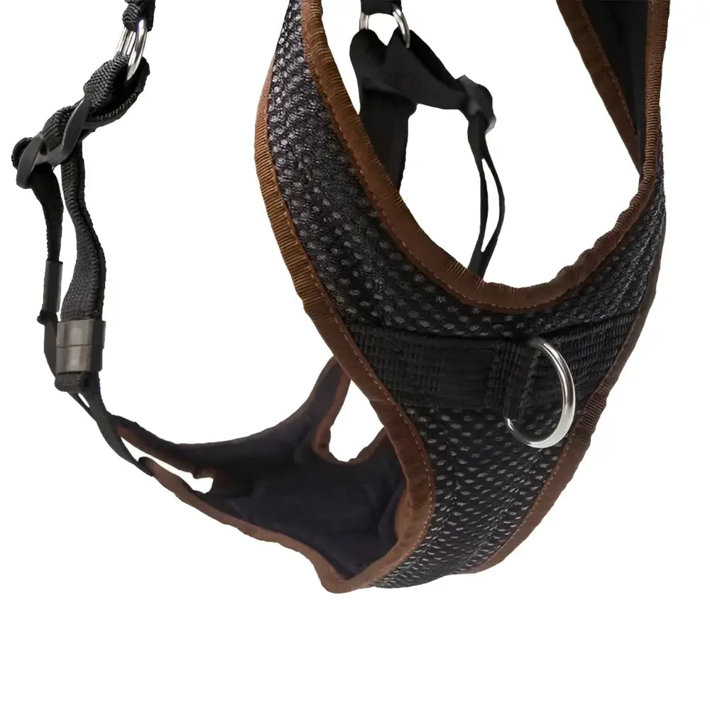 Black und braunes Hundegeschirr für King Charles Spaniel, Beat Grossenbacher Ausbildungsgeschirr PROGuide
