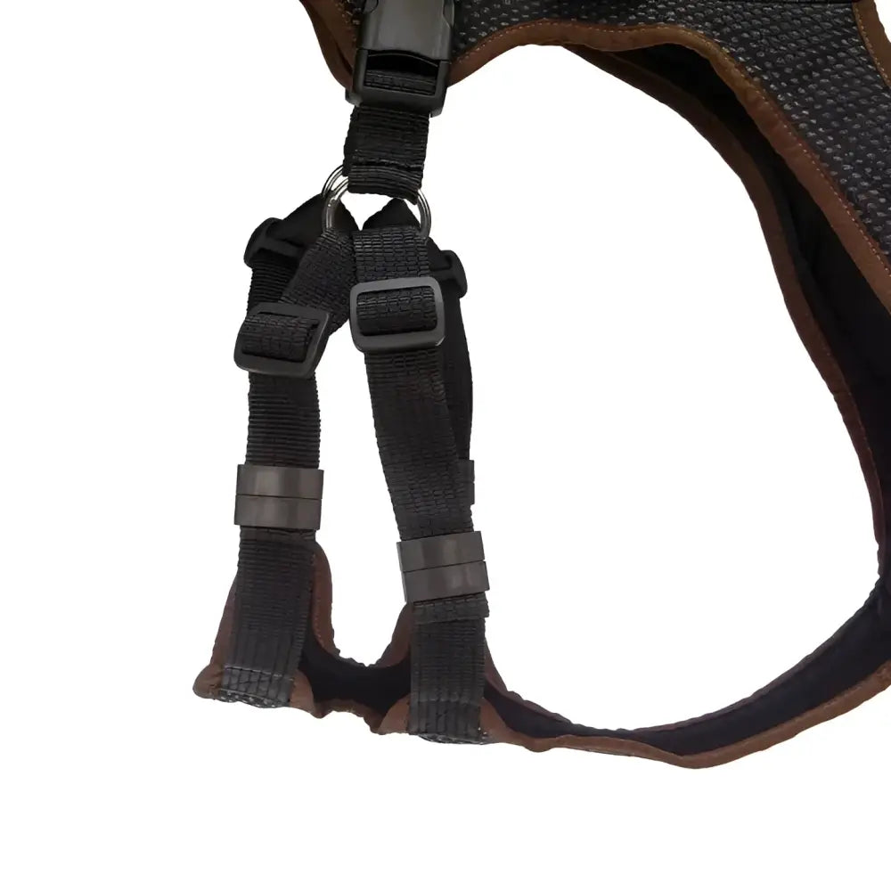 Black Hundegeschirr von Beat Grossenbacher für King Charles Spaniel Ausbildungsgeschirr PROGuide