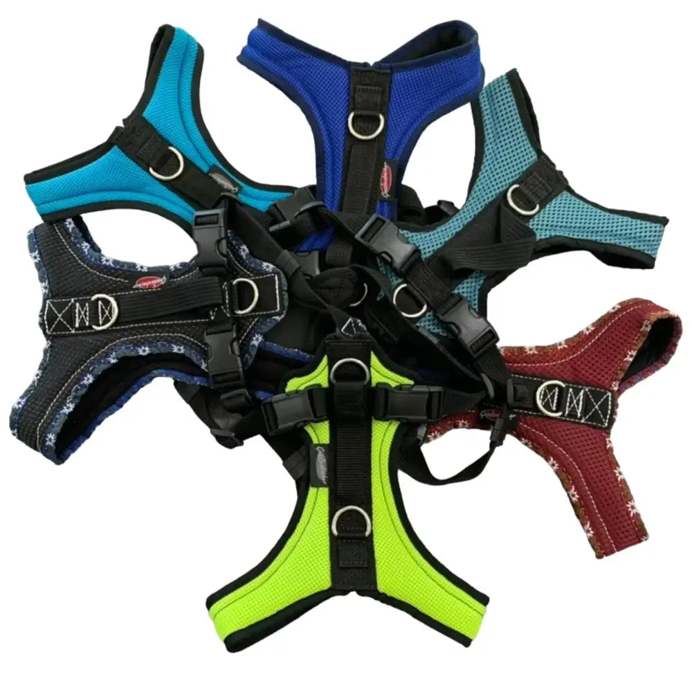 Bunter Beattie Grossenbacher Fun Run Hundegeschirr für Hunde bei Grossenbacher Dogs Fun