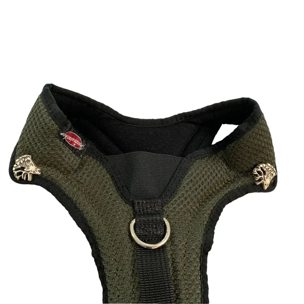 Grünes Hundegeschirr mit Metallakzenten für Hundespaßlauf bei Beat Grossenbacher Hunde