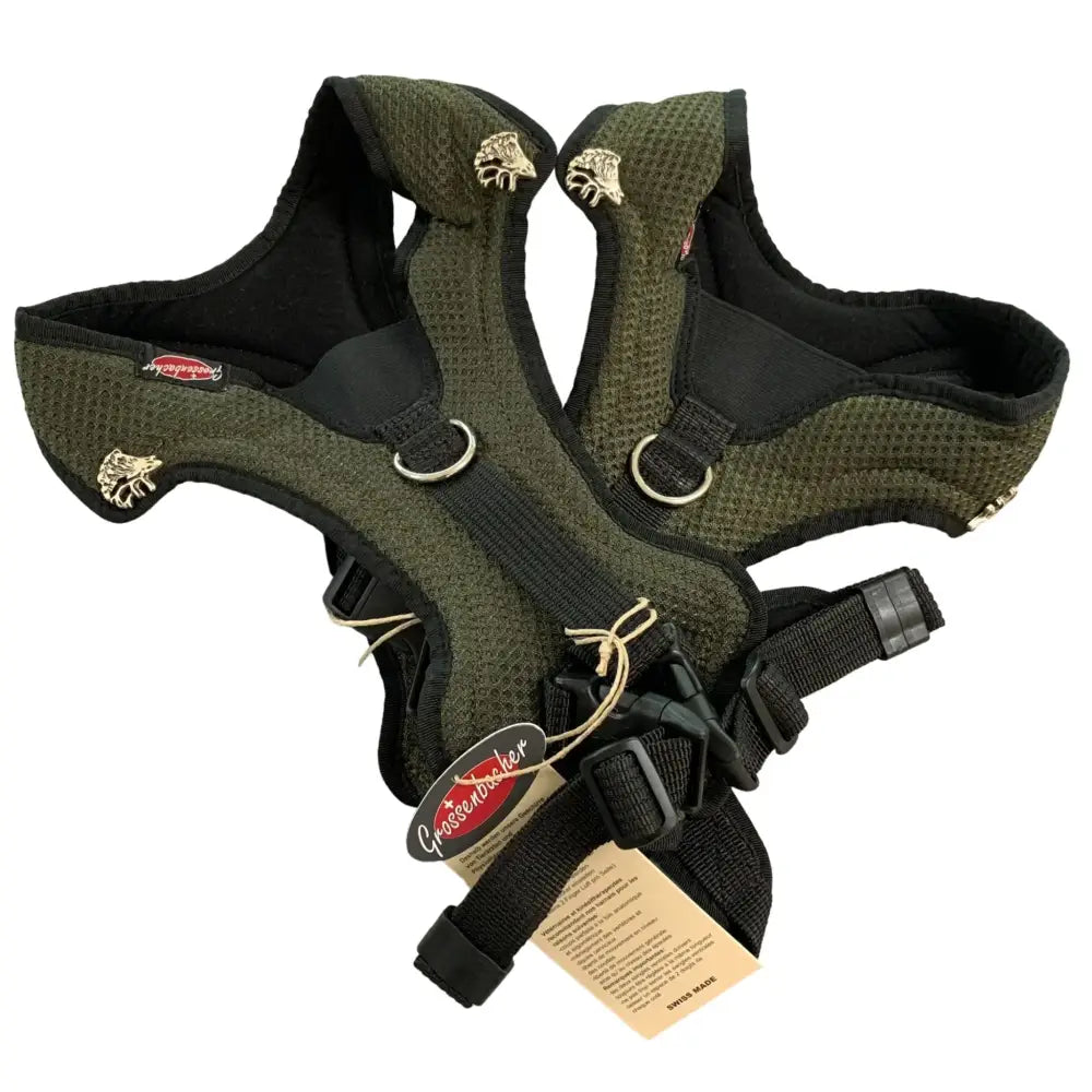 Grünes Hundegeschirr Mutz Olive für Hundespaßlauf mit Beat Grossenbacher Hunde
