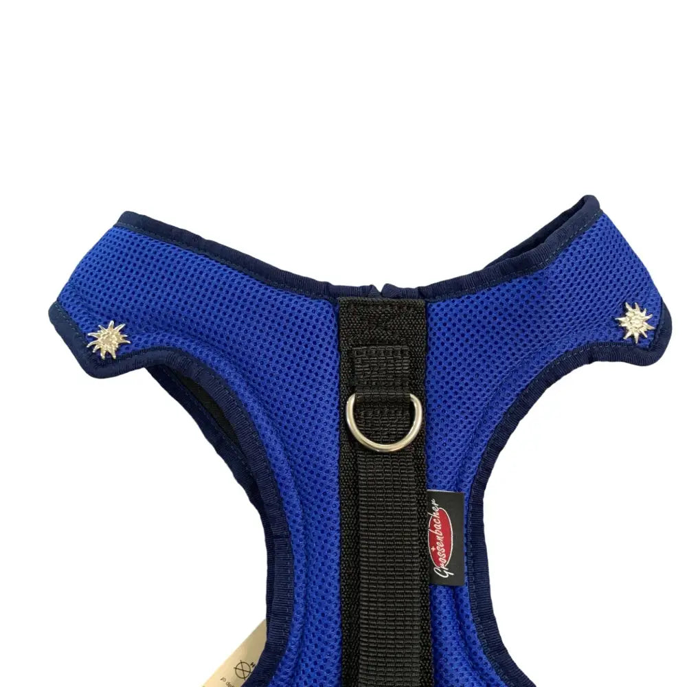 Blaues Mesh Hundegeschirr Beat Grossenbacher Dogs Fun Run Mutz Royalblau
