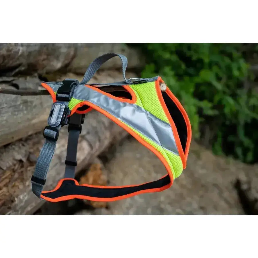 Neon grünes und oranges hunde lauf hunde lauf harness für king charles spaniel bei großenbacher hunde