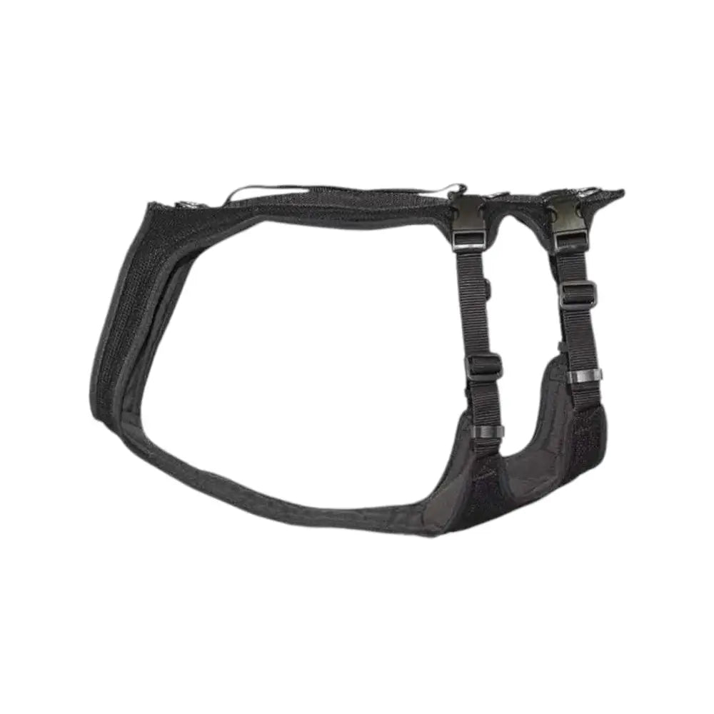 Schwarzes Hundegeschirr für großenbacher hunde spaßlauf unterstützung beim Hundespaßlauf