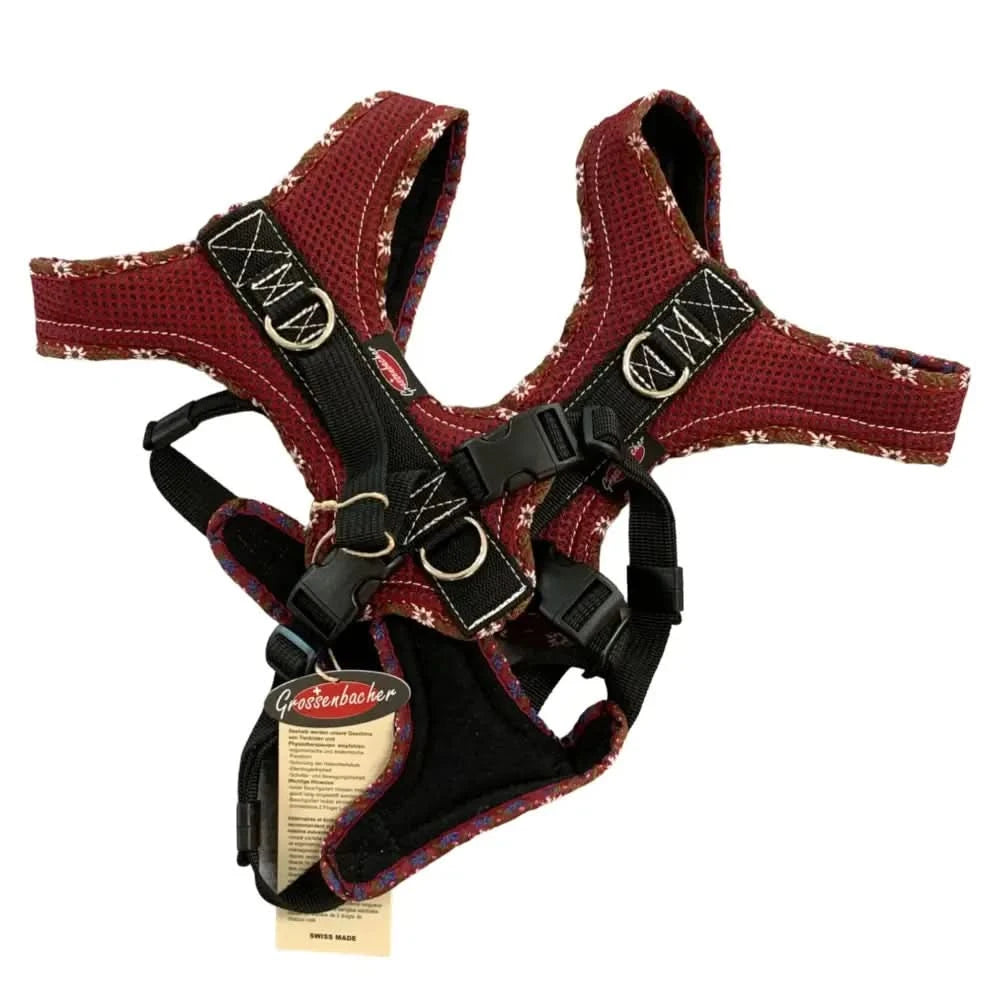 Red und schwarzes Beat Grossenbacher Hundegeschirr für Fun Run Edelweiss, robust und stylisch