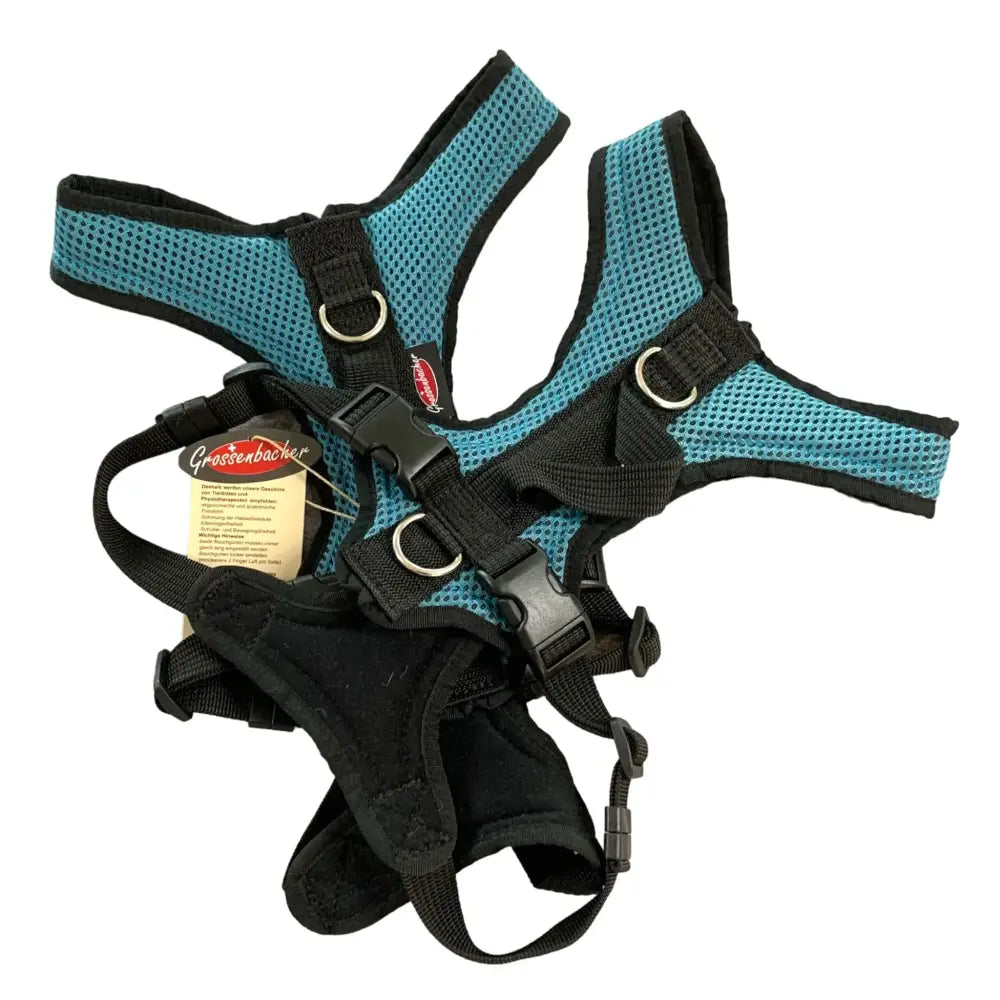 Beat Grossenbacher Hundegeschirr Dogs Fun Run Petrol mit Mesh Panels für Komfort