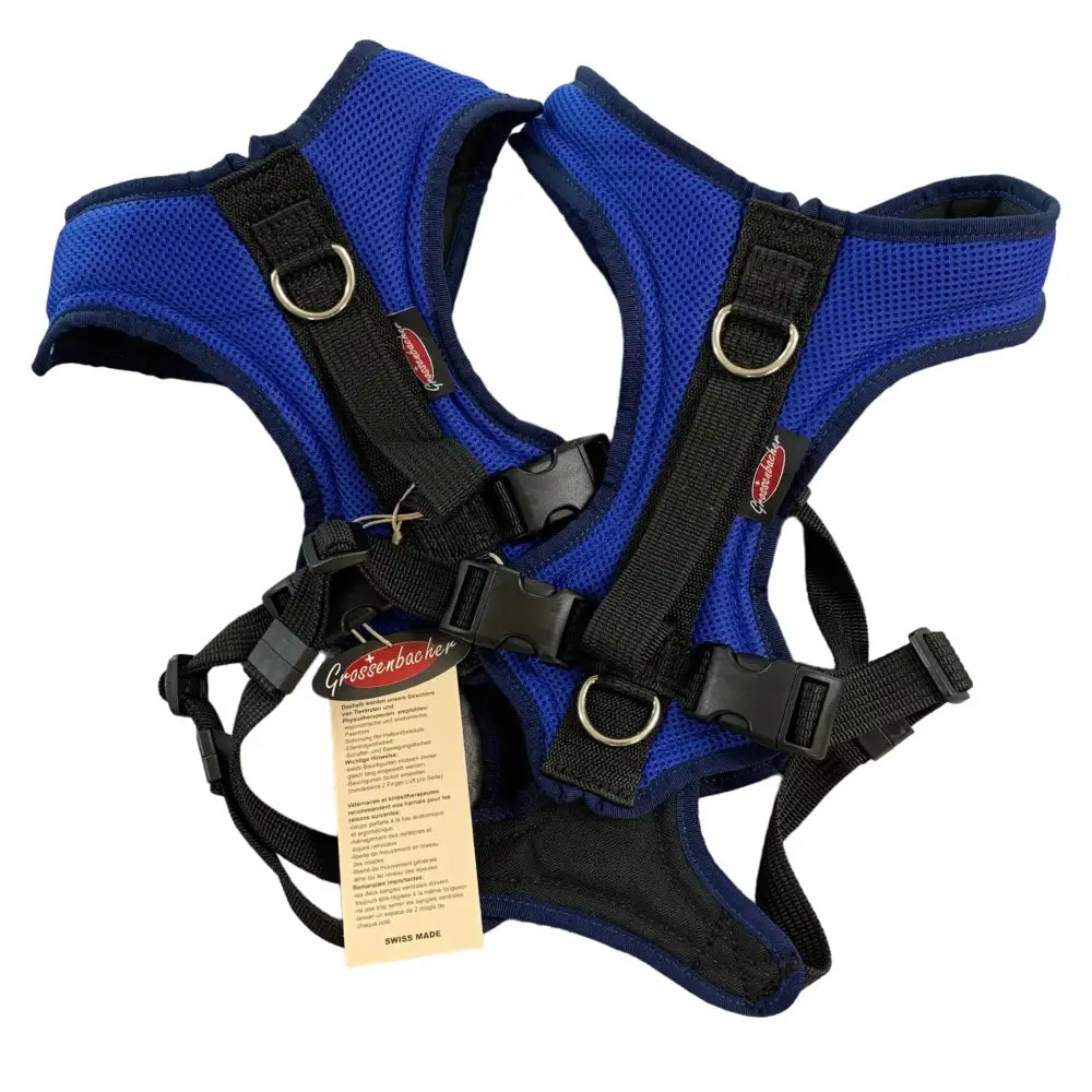 Blaues Mesh Hundegeschirr mit schwarzen Gurten für Beat Grossenbacher Hundegeschirr Fun Run Royalblau