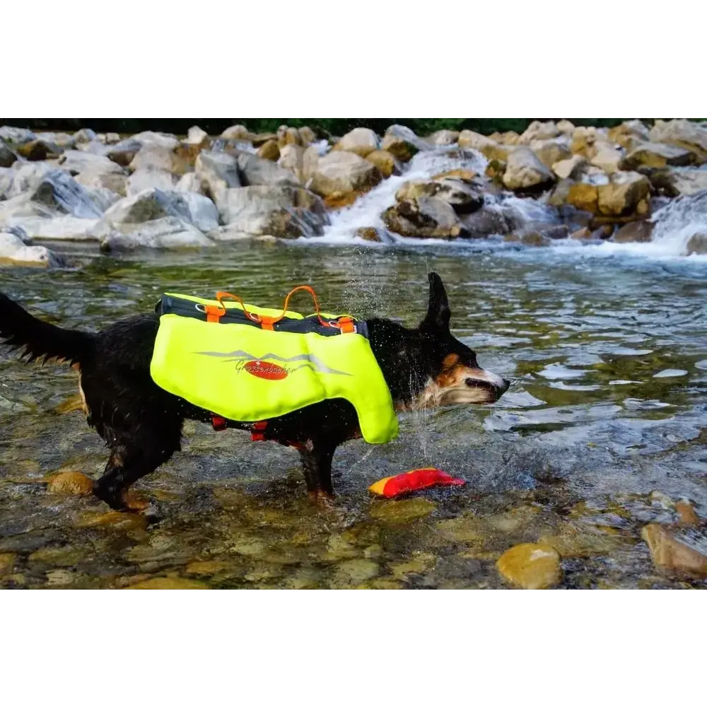 Hundeschwimmweste von Beat Grossenbacher, gelbe Hundeschwimmweste für Hunde