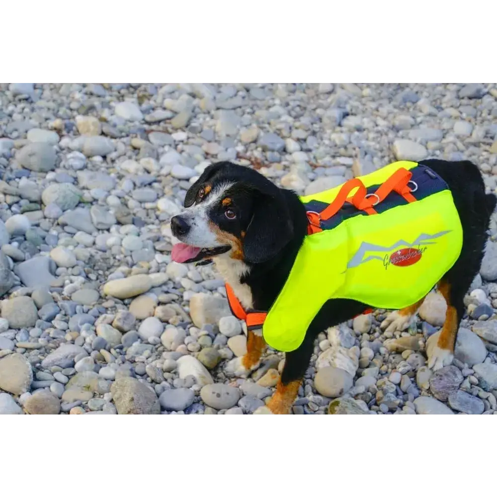 Hundeschwimmweste von Beat Grossenbacher mit gelber Farbe für sicheren Wasserspaß
