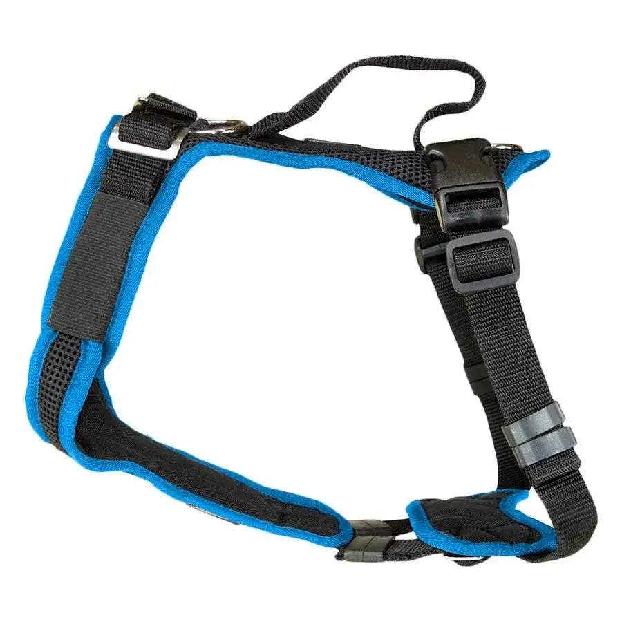 Blue und schwarze Hundegeschirr von Beat Grossenbacher, verstellbar und perfekt für Hunde