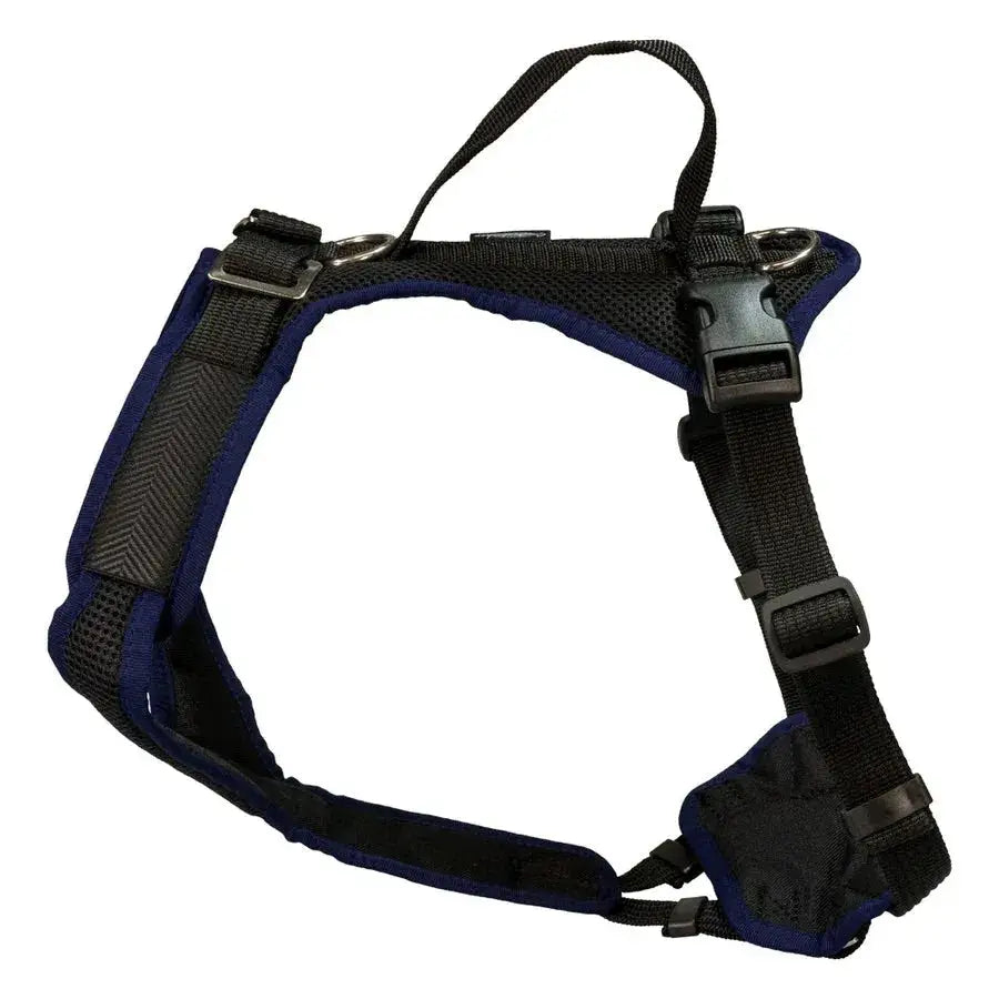 Black und blaues Hundegeschirr von Beat Grossenbacher Vary Hundegeschirr Verstellbar