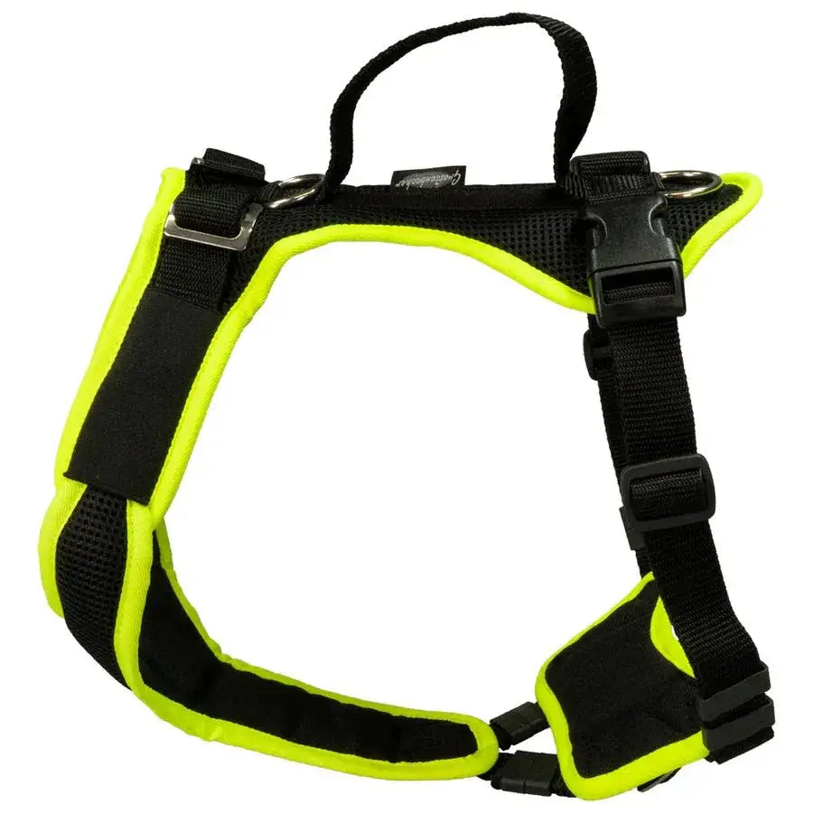 Black und neon gelber Hundegeschirr von Beat Grossenbacher, verstellbar und perfekt für Wasserabenteuer