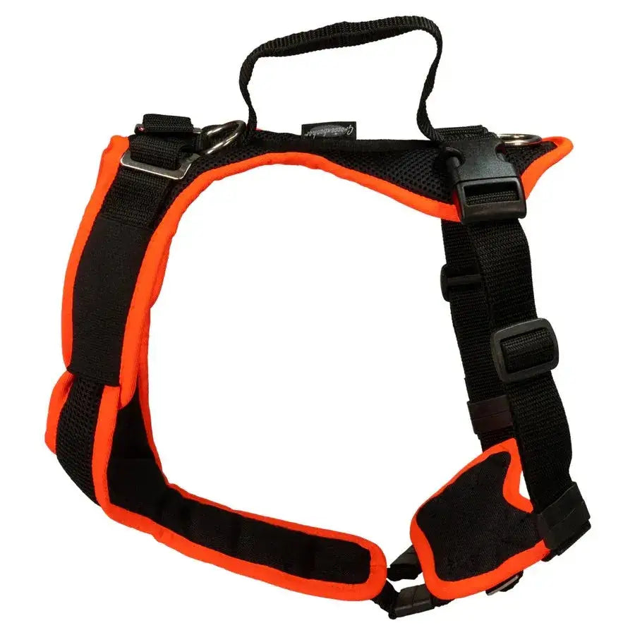 Black und orange Hundegeschirr von Beat Grossenbacher, Vary Hundegeschirr verstellbar