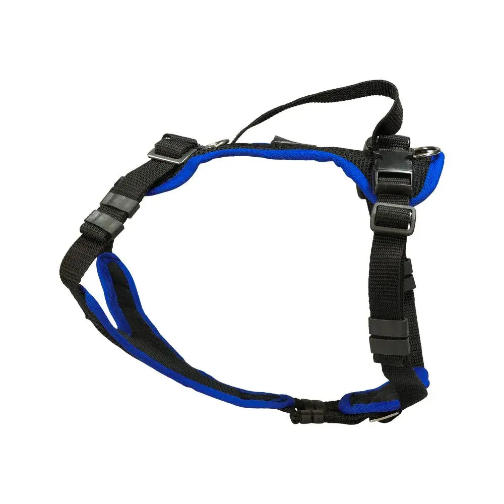 Blue and black dog harness Beat Grossenbacher Welpengeschirr mit volle bewegungsfreiheit