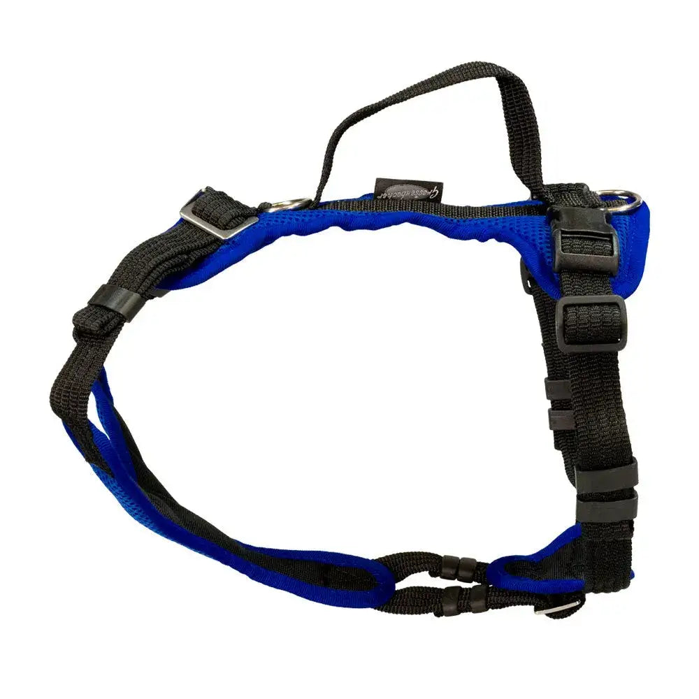 Blue and black Beat Grossenbacher Welpengeschirr Popp-IT mit volle bewegungsfreiheit und hinteren ring belastungen standhalten