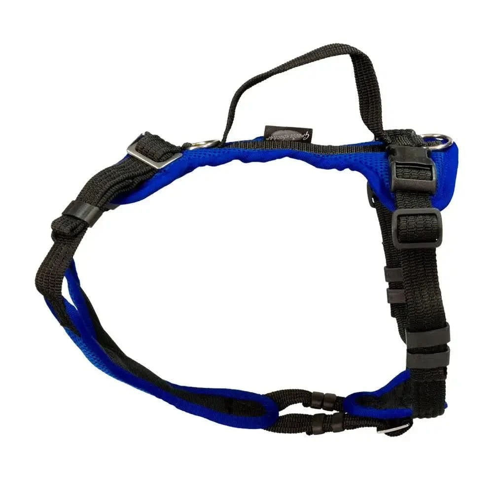 Blue and black Beat Grossenbacher Welpengeschirr Popp-IT mit volle bewegungsfreiheit und hinteren ring belastungen standhalten