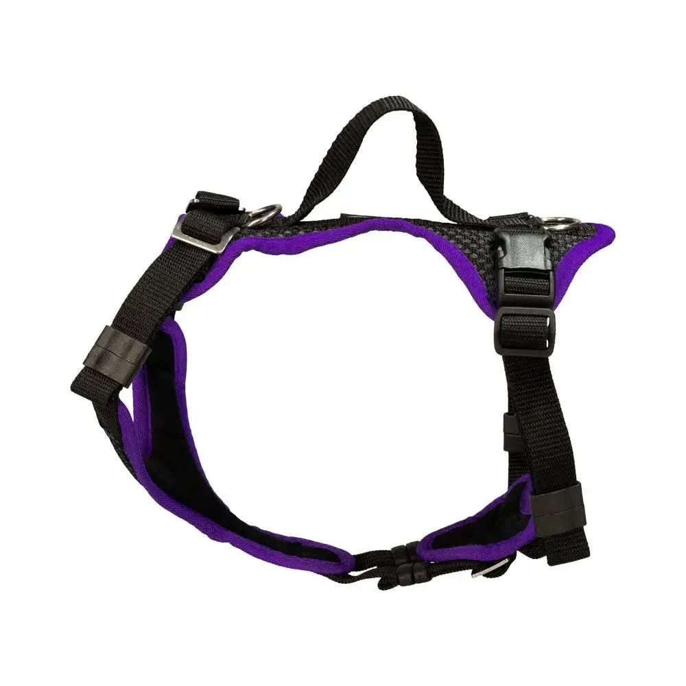 Purple and black Beat Grossenbacher Welpengeschirr Popp-IT mit hinterem Ring, volle Bewegungsfreiheit