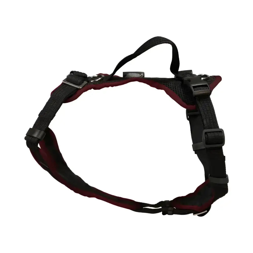 Black and maroon Beat Grossenbacher Welpengeschirr Popp-IT mit hinteren Ring für volle Bewegungsfreiheit