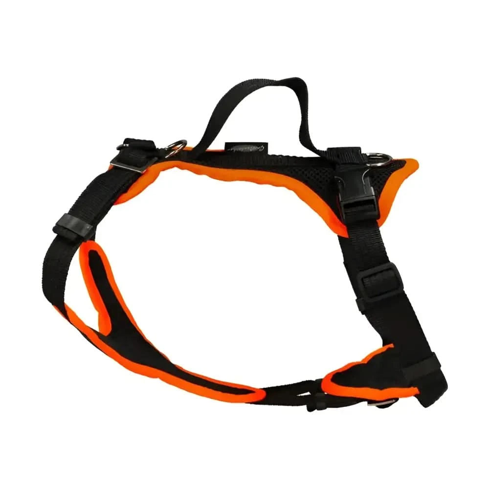Black und orange Hundegeschirr Beat Grossenbacher Welpengeschirr mit hinteren Ring belastungen standhalten und volle Bewegungsfreiheit