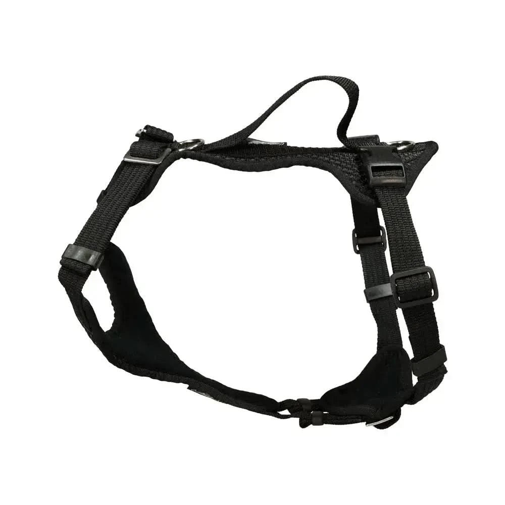 Black Hundegeschirr Beat Grossenbacher Welpengeschirr Popp-IT mit hinteren Ring belastungen standhalten und volle bewegungsfreiheit passeinstellung