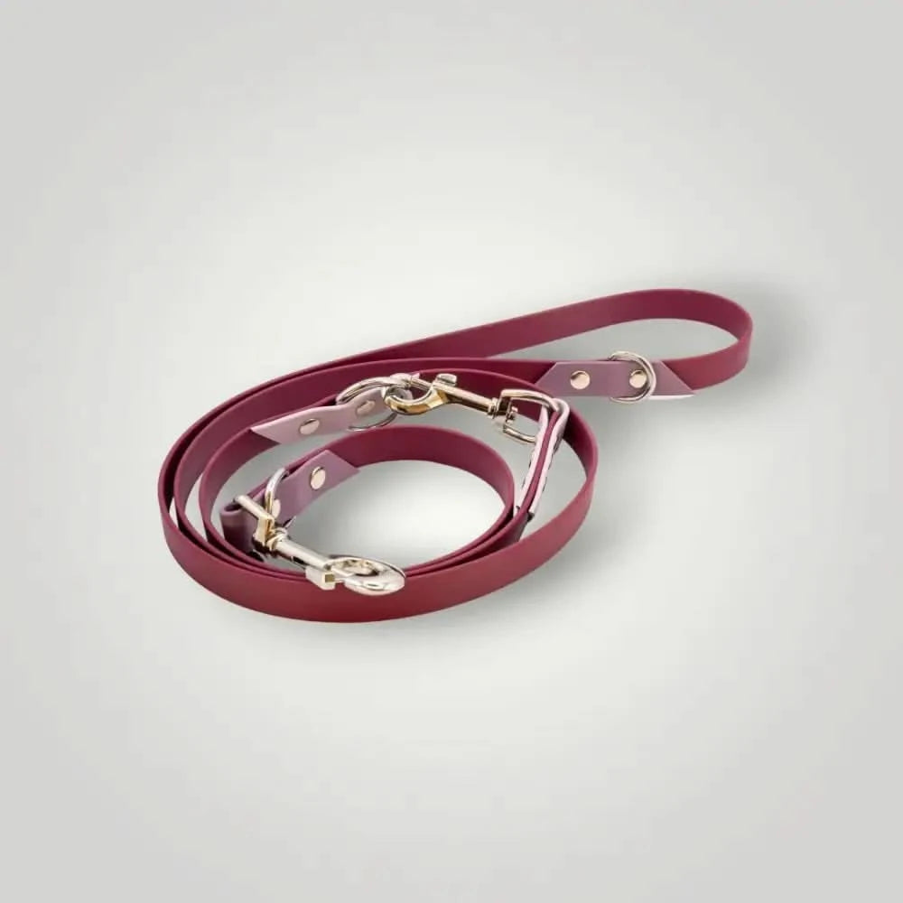 Burgundy Biothane Hundeleine mit Metallkarabinern, 2-farbige Biothane Hundeleine