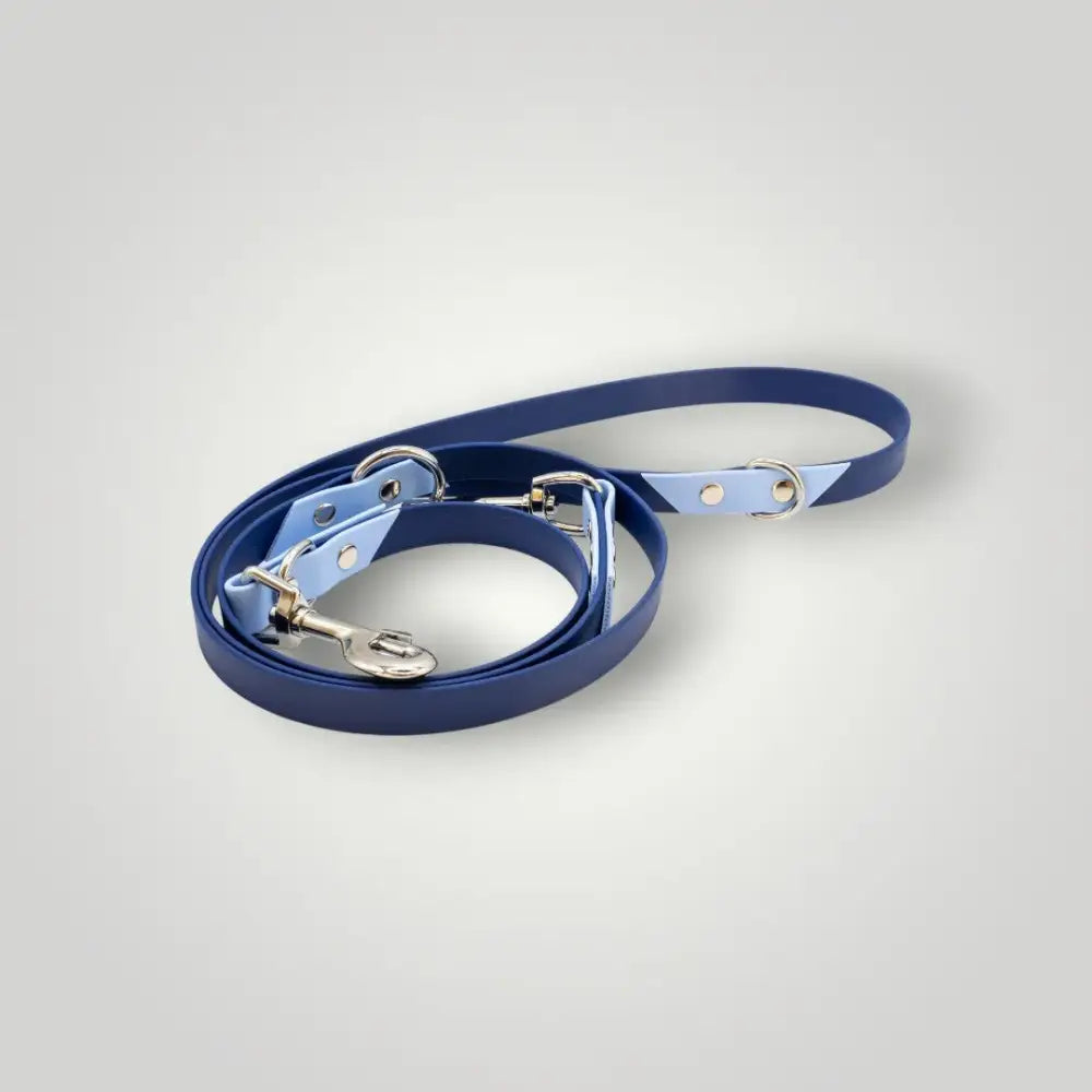 Zwei-tonige blaue Biothane Hundeleine mit Metallhaken, 2-farbige Biothane Hundeleine