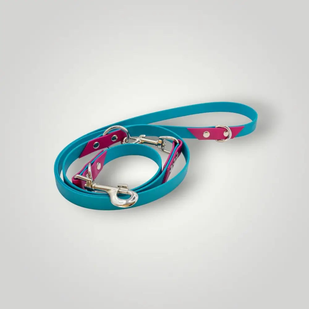 Bunte biothane hundeleine in türkis und pink, 2-farbige biothane hundeleine