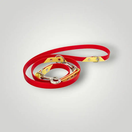 Rote und gelbe 2-farbige Biothane Hundeleine und Halsband für Hunde