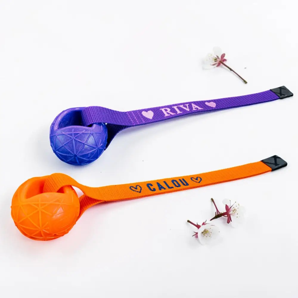 Moby Hundeball mit Wurfschlaufe in Lila-Orange, personalisiert