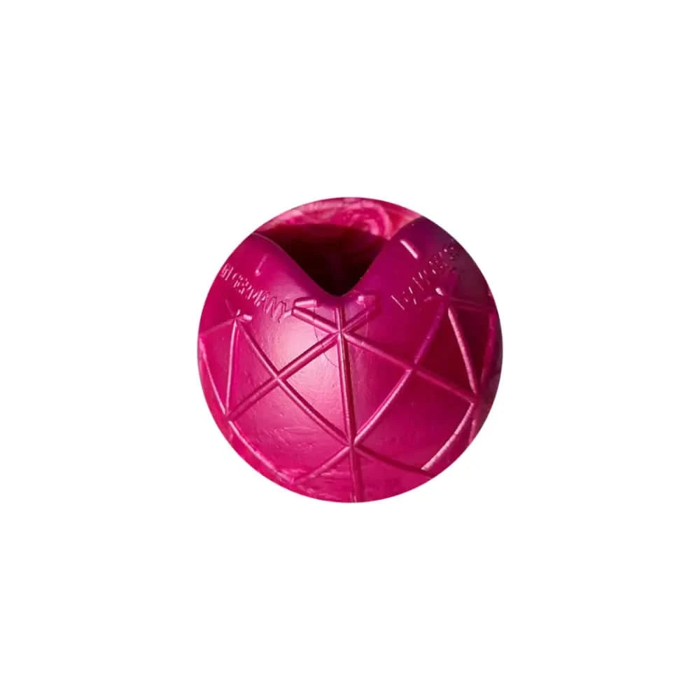 Lebhafter Moby Hundeball in Magenta mit Würfschlaufe, Gittermuster