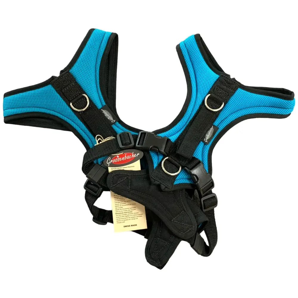 Buntes Hundegeschirr Dogs Fun Run Türkis für große Hunde, bequem und stylisch