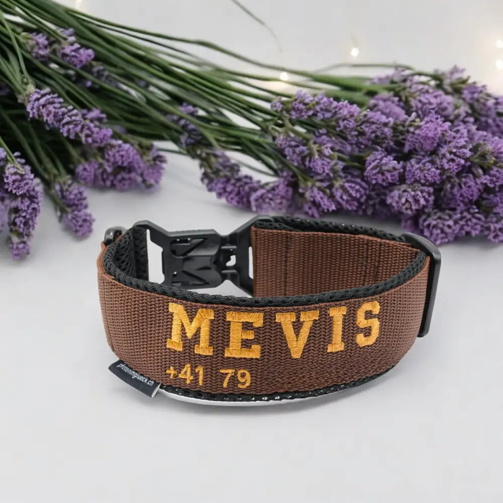 Braunes Hundehalsband mit FIDLOCK® Magnetverschluss und besticktem Namen, robust und stylish